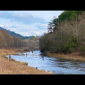 Meet your Posher, Audra